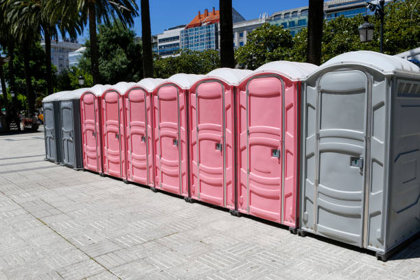 Best Portable Toilets for Disaster Relief Sites  in Paulina, LA